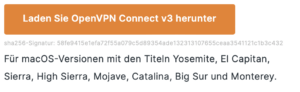 Screenshot OpenVPN Connect