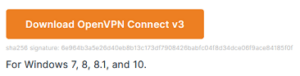 Screenshot OpenVPN Connect