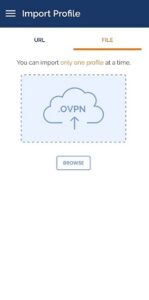 Screenshot OpenVPN Connect