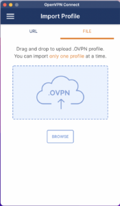 Screenshot OpenVPN Connect