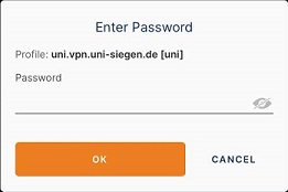 Screenshot OpenVPN Connect